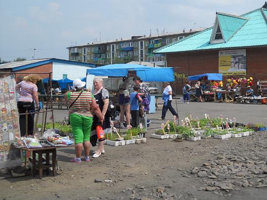 В самом центре Нижнеудинска разместились несколько стихийных рынков.