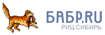 логотип babr.ru